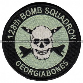 128Th Bomb Squadron Georgia Bones