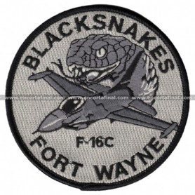 F-16C Blacksnakes Fort Wayne 163 Squadron
