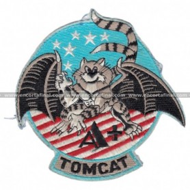 F-14 Super Tomcat A+