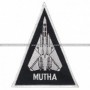 Vf-213 Black Lions "Mutha" F-14 Tomcat
