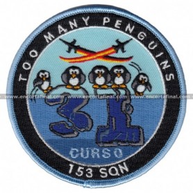 Parche 153 Escuadron -Too Many Penguins, Curso-