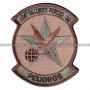 Parche United States Armed Forces - 204th Security Forces SQ - Peligros