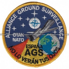 Parcge Alliance Ground Surveillance (Ags)