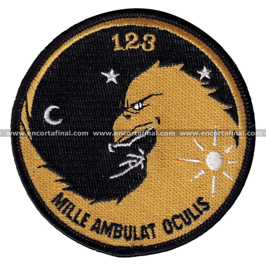 12th Wing Patch - 123 Squadron - McDonell Douglas EF-18 Hornet