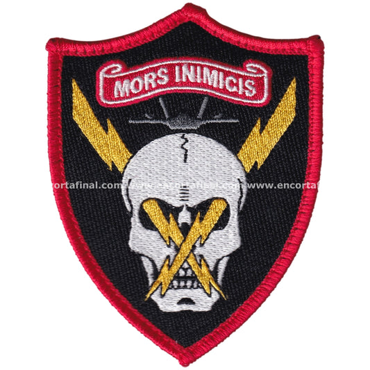 United States Air Force Patch - 493rd Fighter Squadron (Grim Reapers) - Mors Inimicis