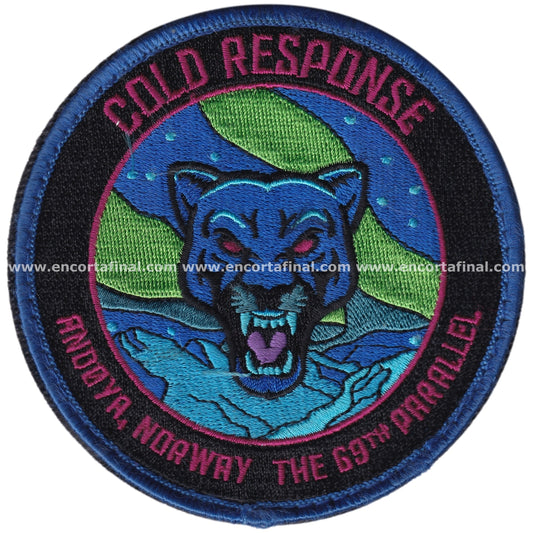 Parche United States Air Force (USAF) - 494th Fighter Squadron - Cold Response - Norway - The 69th Parallel