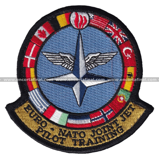 United States Air Forces patch - Euro - Nato - Joint jet - Pilot training