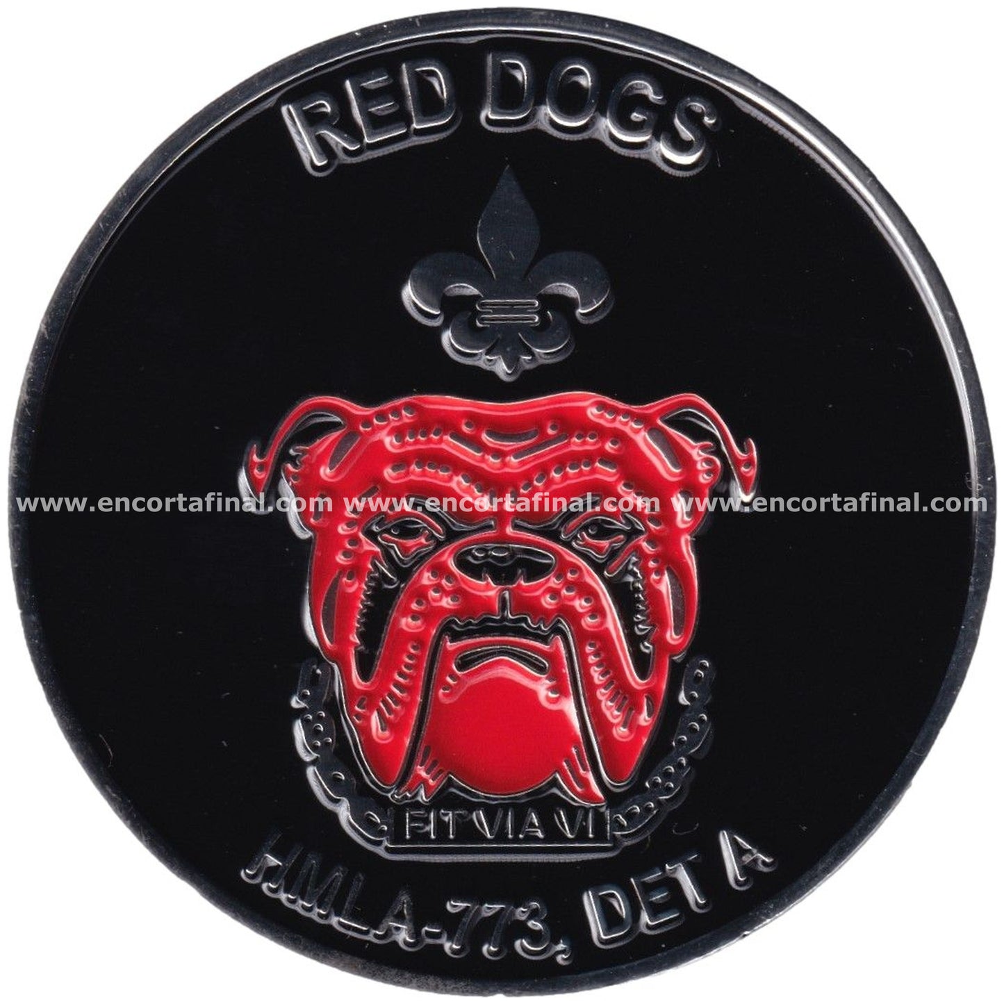 Moneda USMC HMLA-773 DET A/Nomads
