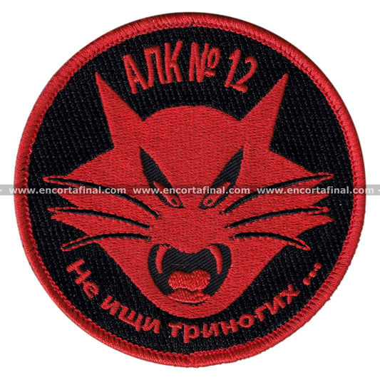 12th Wing Patch - McDonnell Douglas EF-18 Hornet