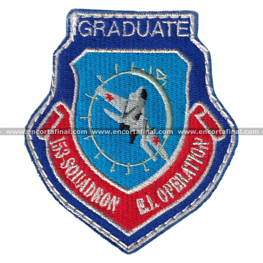 Parche Ala 15 - Graduate - McDonnell Douglas EF-18 Hornet