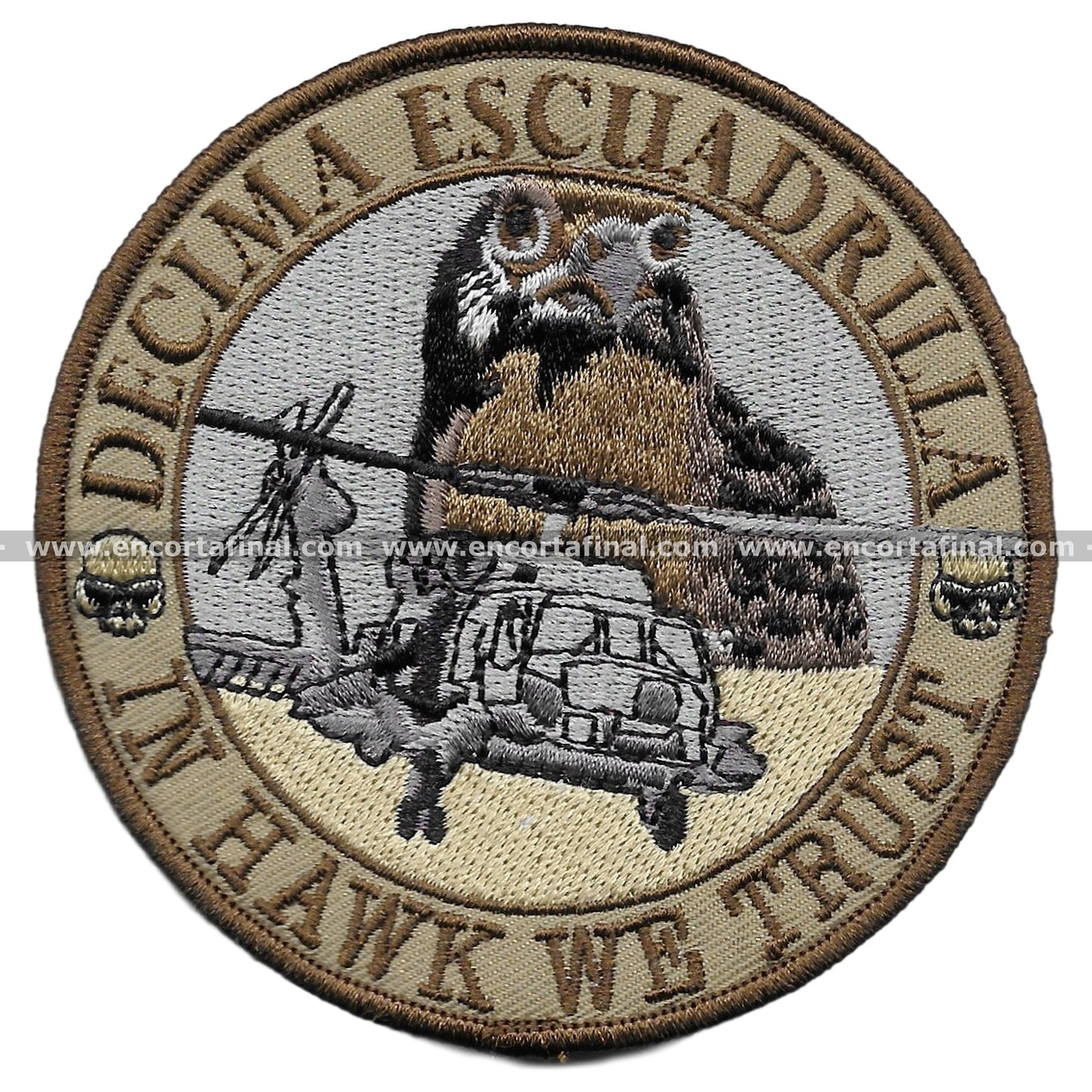 Tenth Squadron Patch