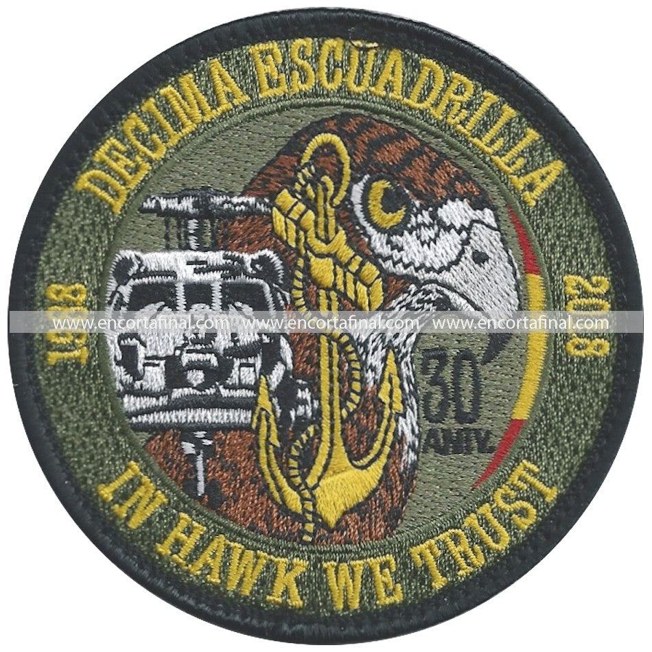 Tenth Squadron Patch