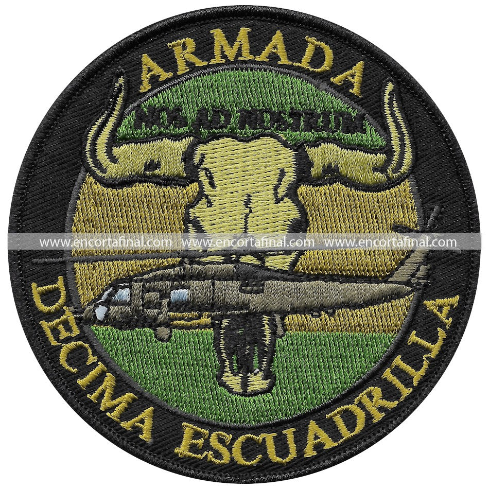 Tenth Squadron Patch