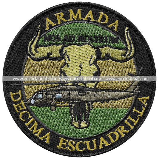 Tenth Squadron Patch