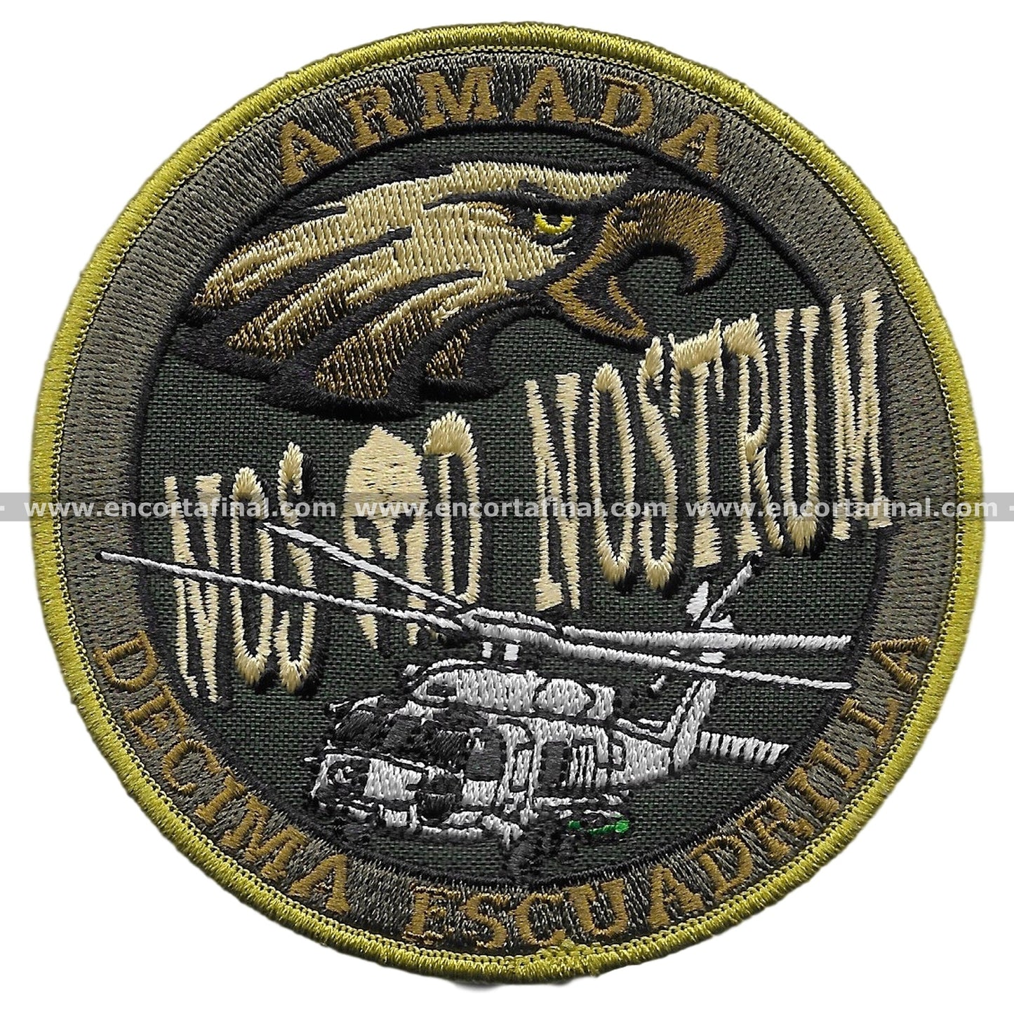 Tenth Squadron Patch