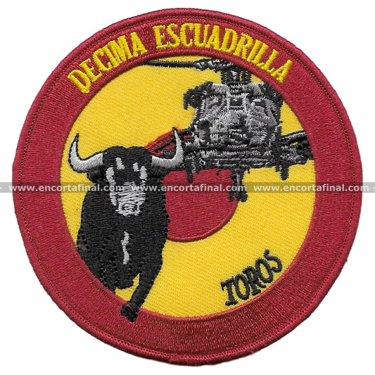 Tenth Squadron Patch