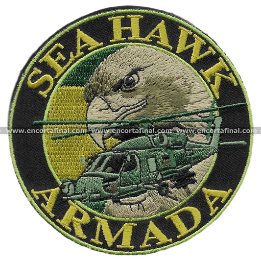 Tenth Squadron Patch