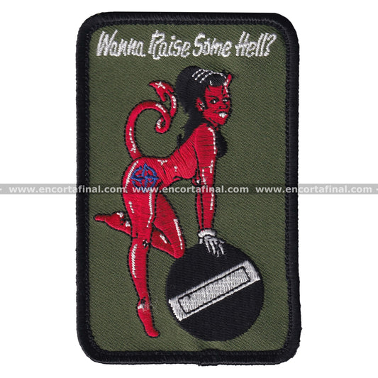 NATO Awacs Patch - Wanna Raise Some Hell? -Boeing E-3 Sentry