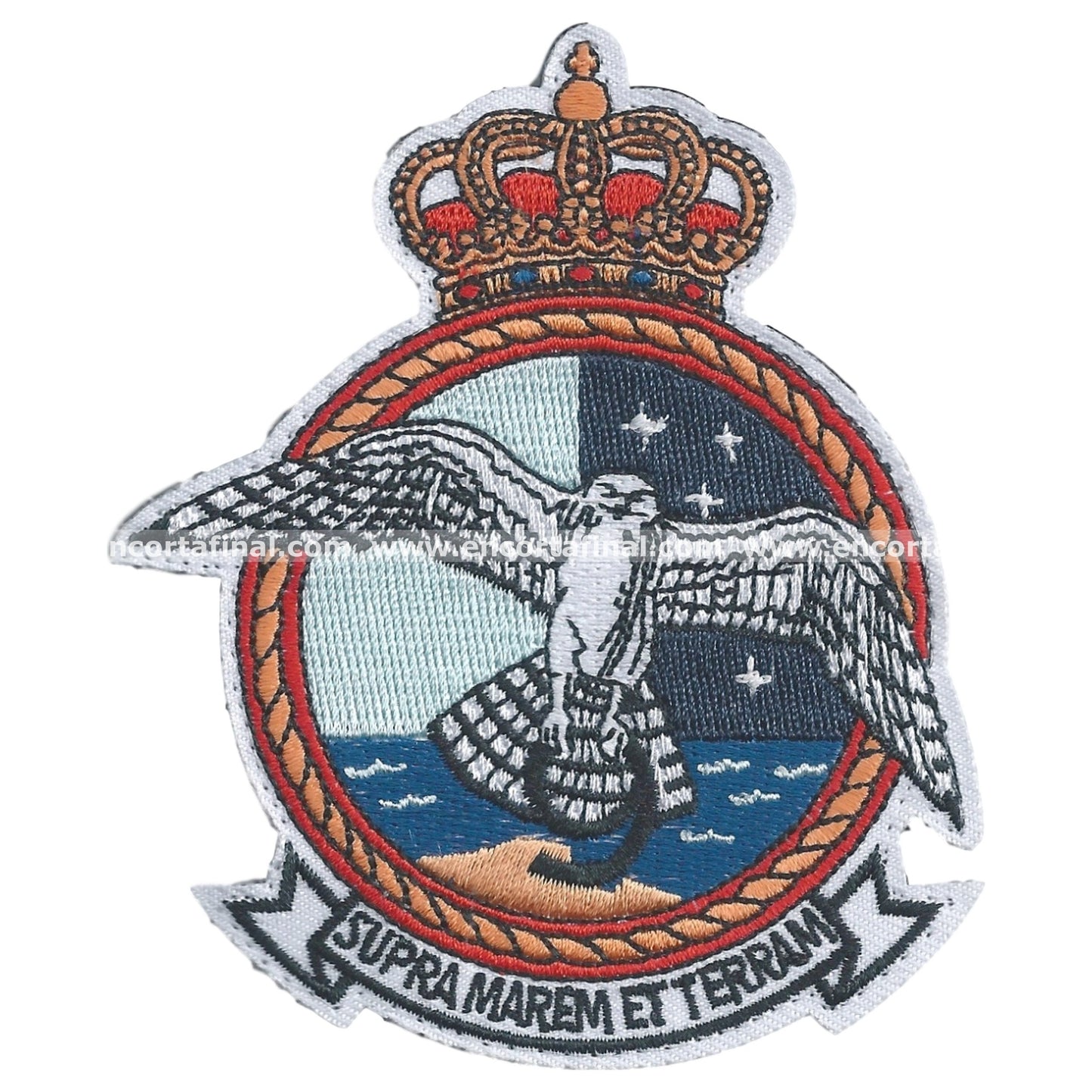 Ninth Squadron Patch