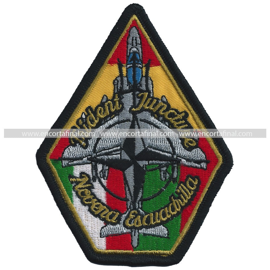 Ninth Squadron Patch