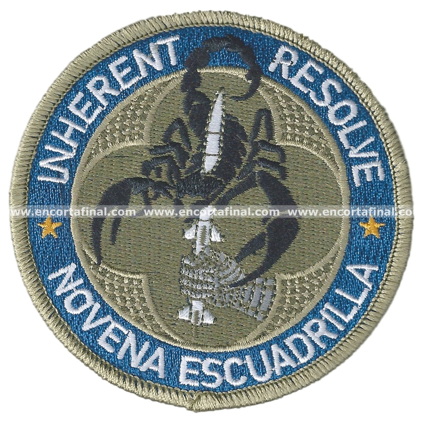 Ninth Squadron Patch