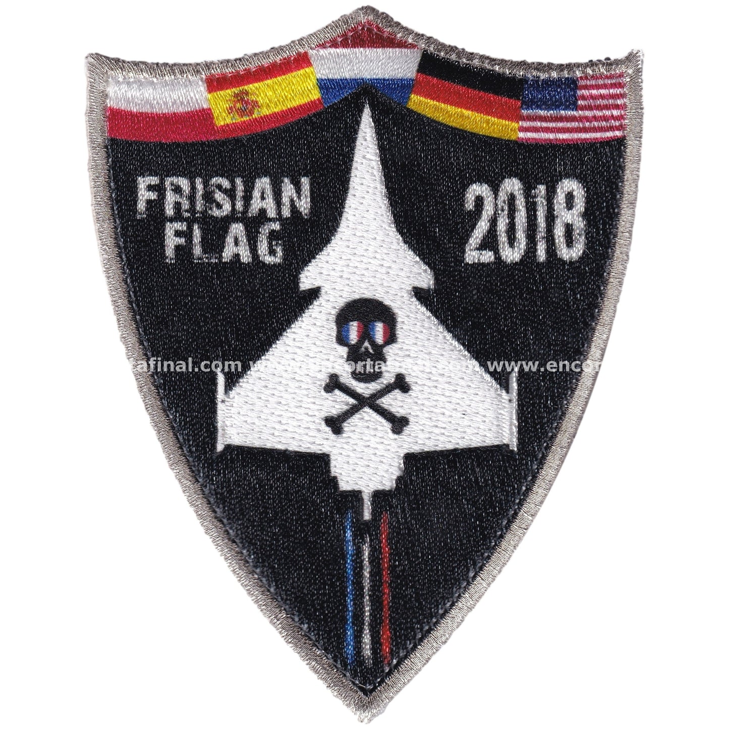 Parche French Air and Space Force - Frisian Flag 2018