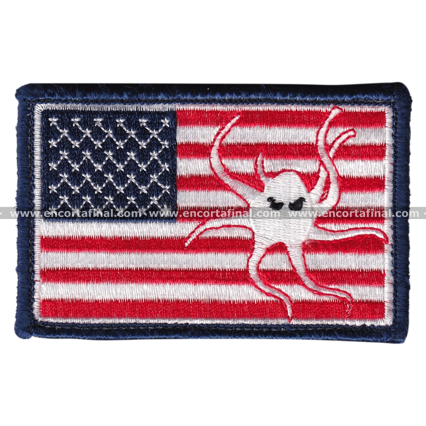 United States Air Force (USAF) Patch