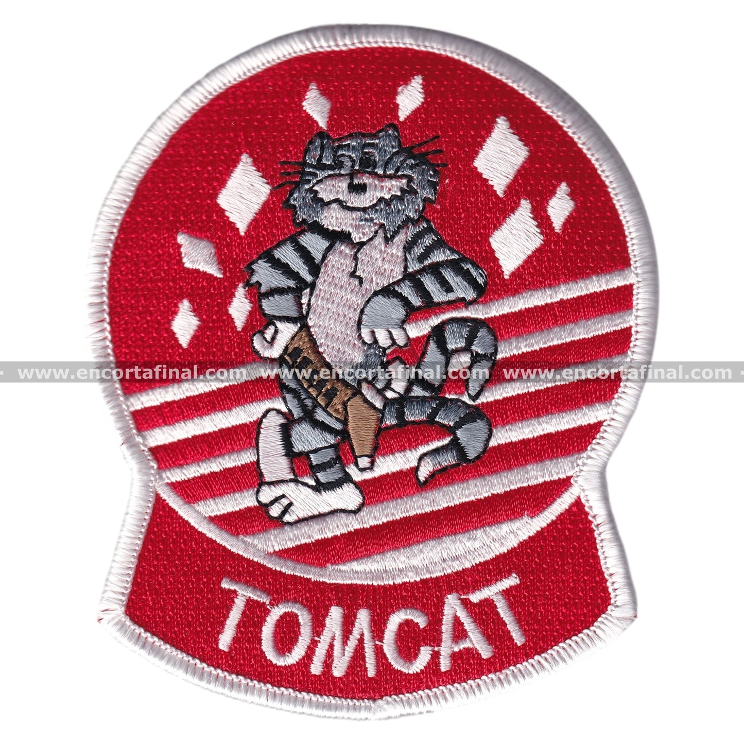 United States Armed Forces Patch - TOMCAT